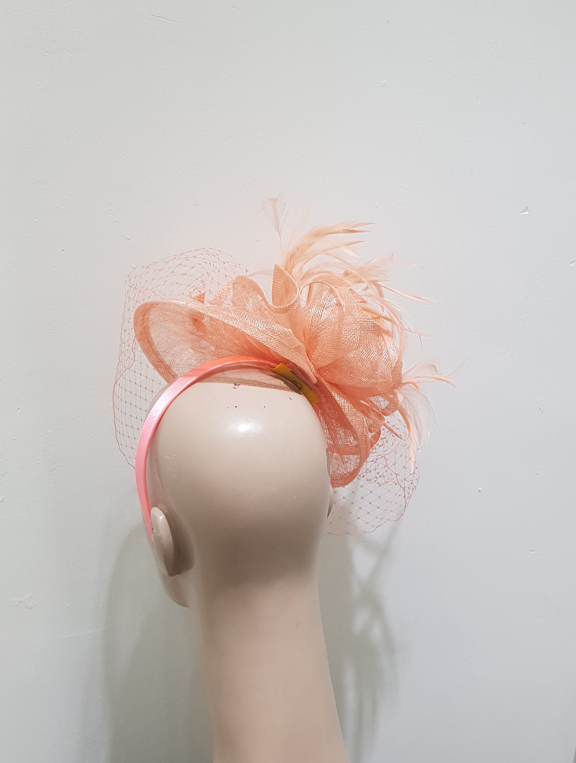 Elegant Fascinator with Delicate Feather Detailing