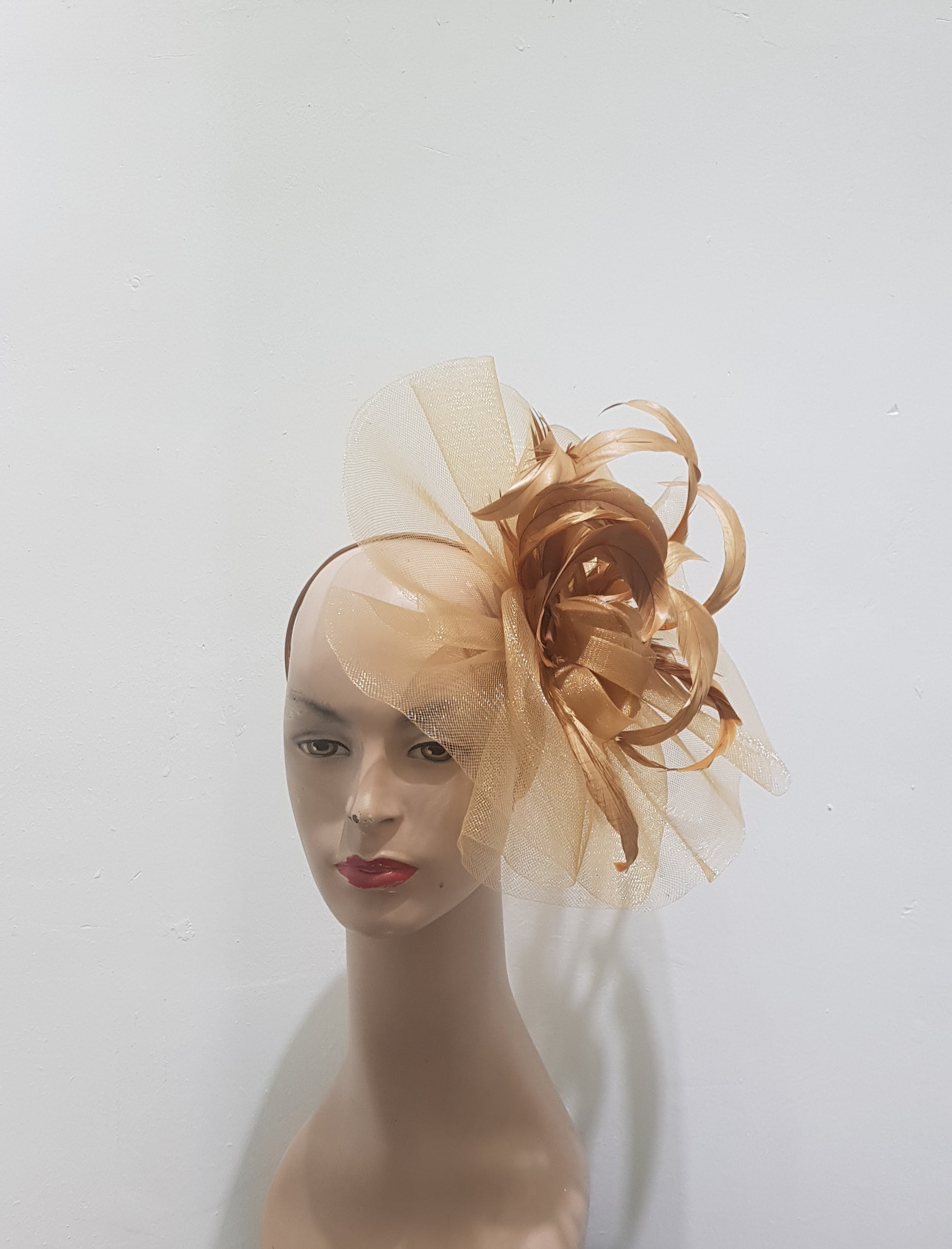 Crin & feather fascinator