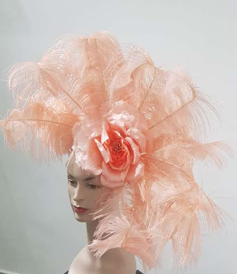 Vibrant Plume Feather Headdress Collection