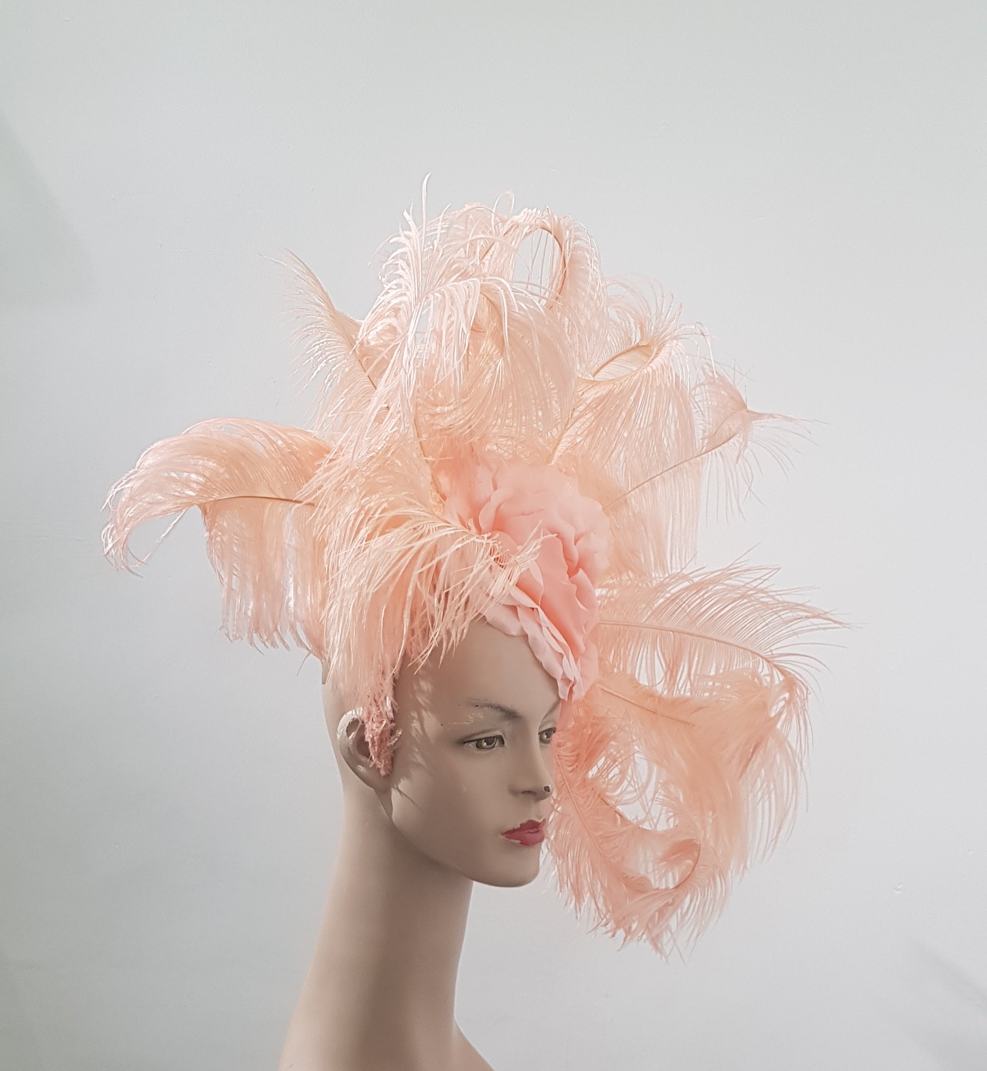 Vibrant Plume Feather Headdress Collection