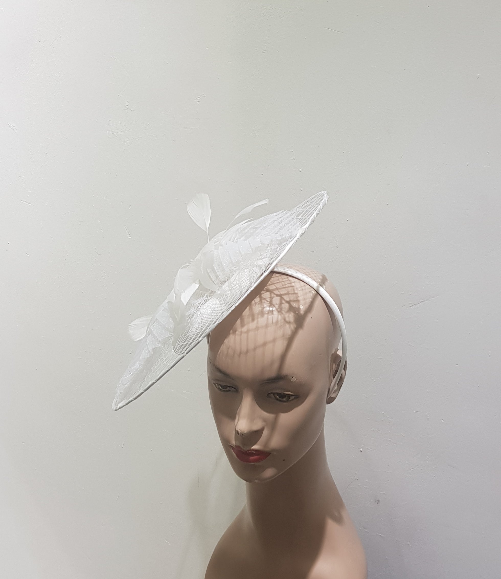 "Veiled brim hatinator with feathers on a blacked base"