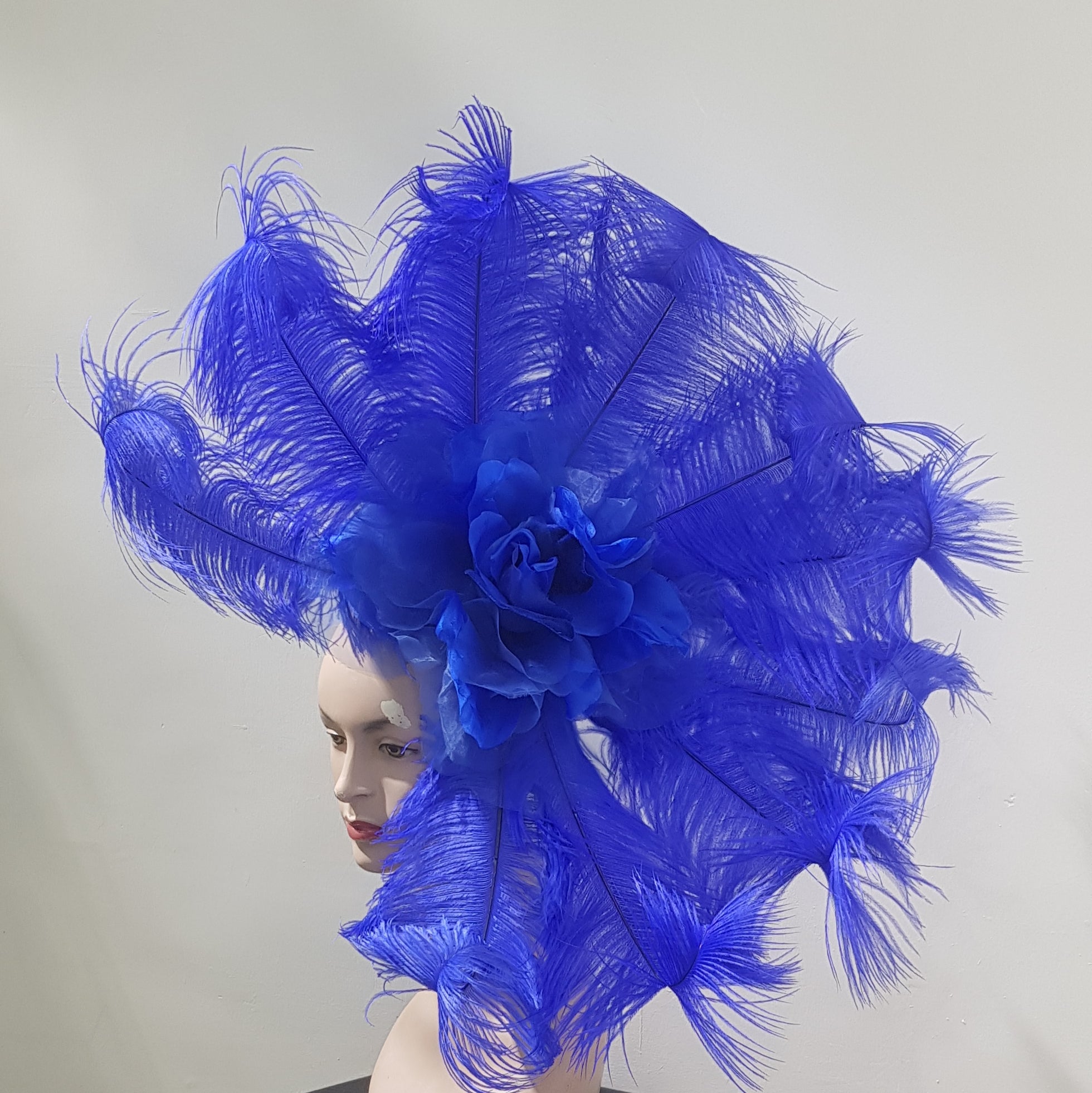 Vibrant Plume Feather Headdress Collection