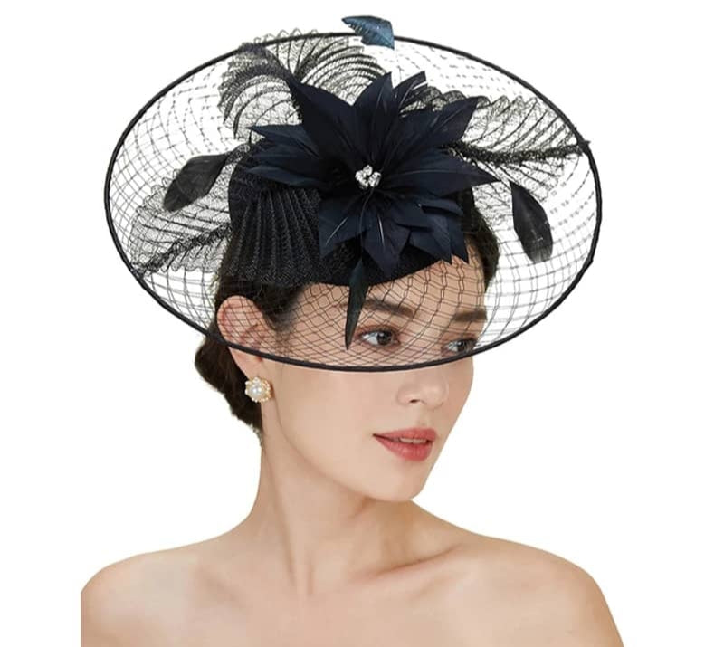 "Veiled brim hatinator with feathers on a blacked base"