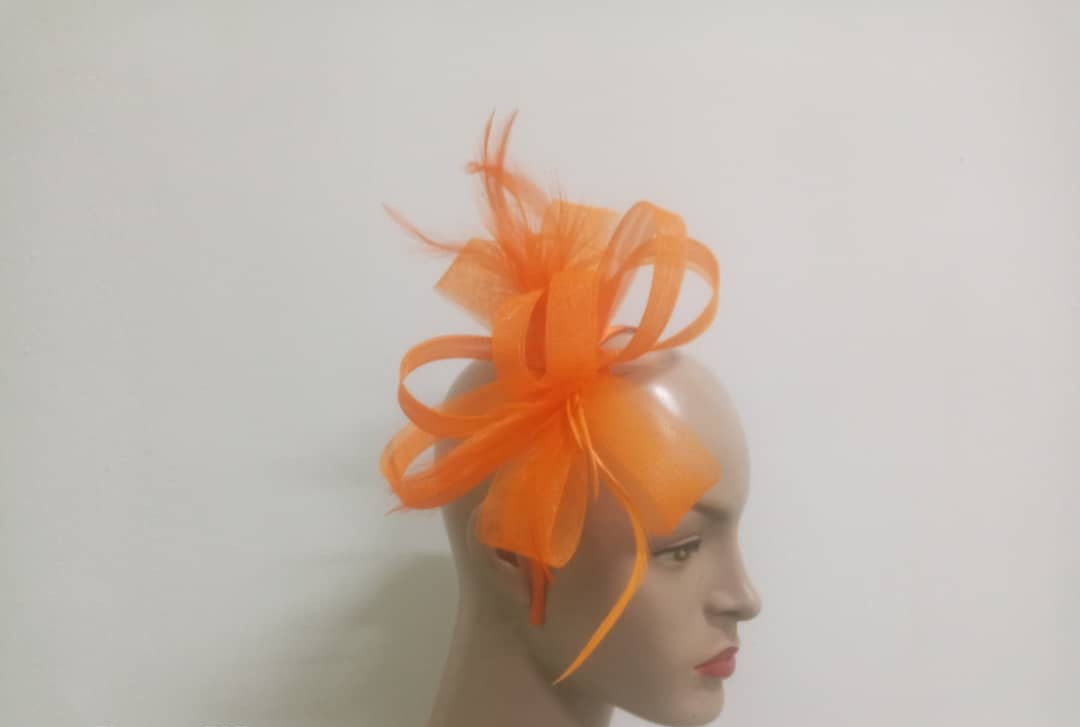 "Elegant Crin & feather fascinator"