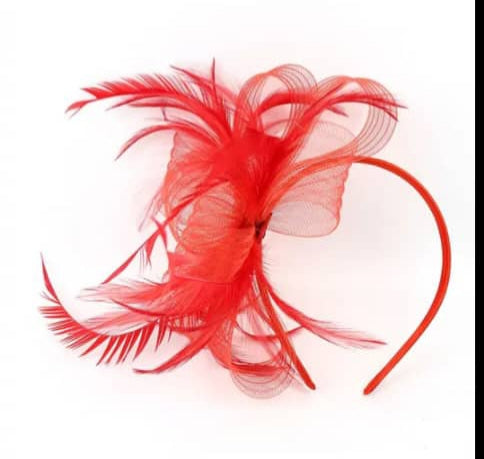 "Crin & feather fascinator"