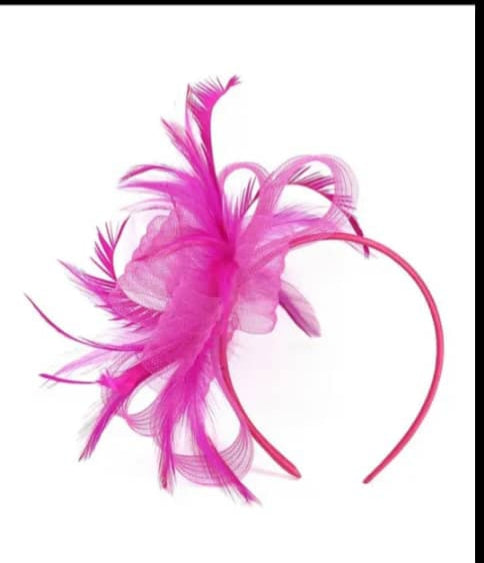 "Crin & feather fascinator"