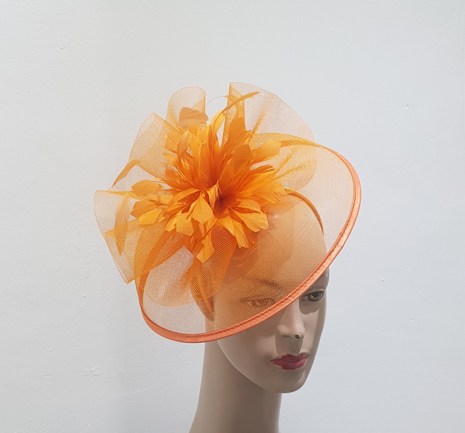 "Elegant Collection Crinoline Fascinator with Feathers"