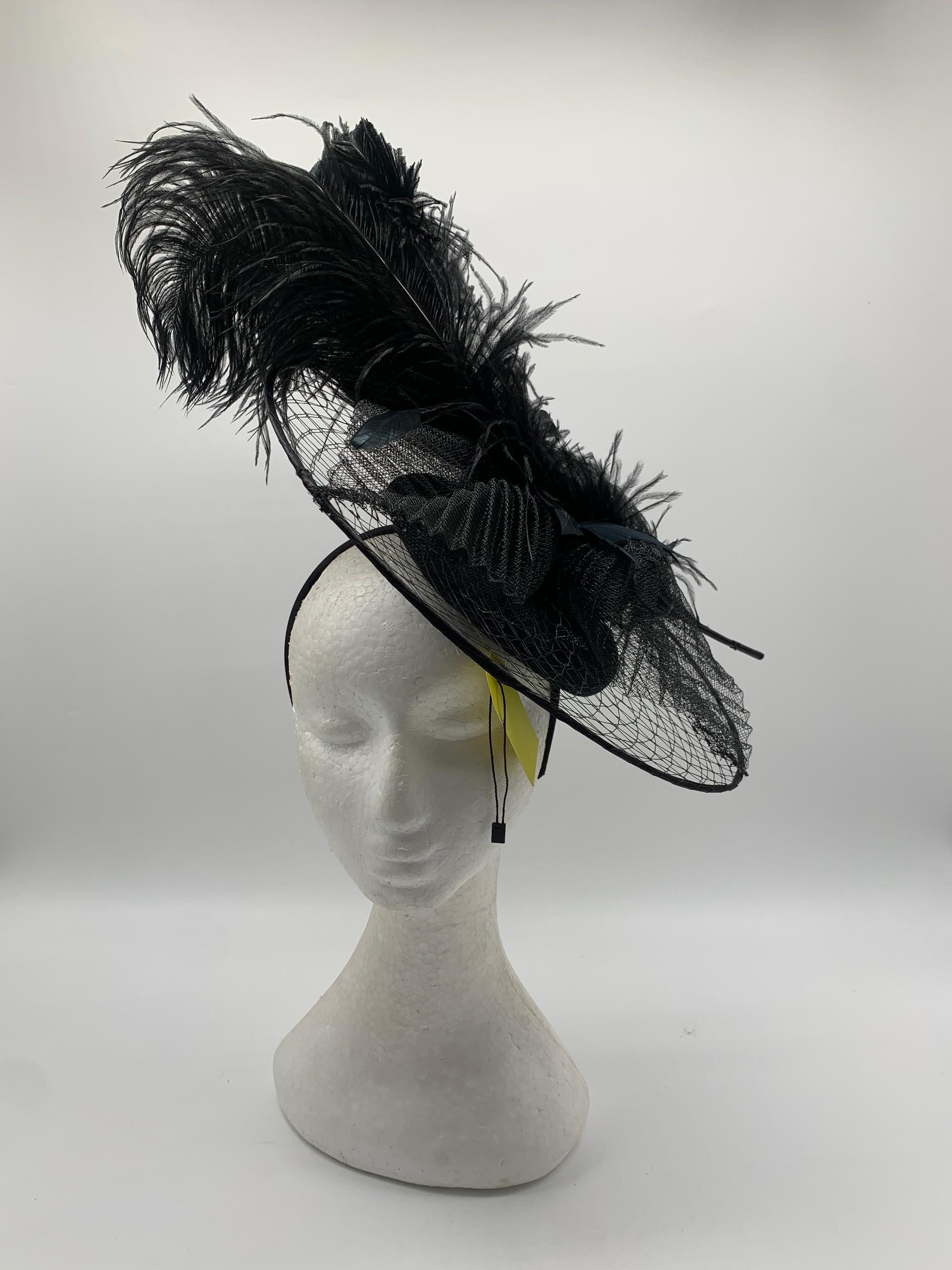 Veiled brim hatinator with feathers on a blacked base